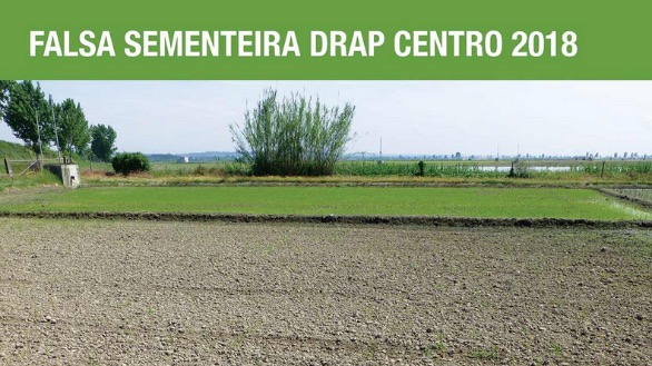 Falsa sementeira DRAP Centro 2018